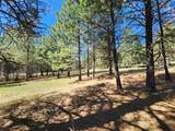 Lot 1 River Road - Photo 18