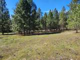 Lot 1 River Road - Photo 9