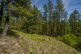 689 Springhill Road - Photo 27