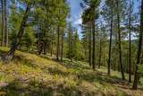 689 Springhill Road - Photo 38