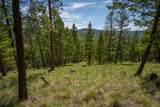 689 Springhill Road - Photo 39