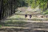 Clark Fork River Sporting Ranch - Photo 28