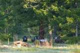 Clark Fork River Sporting Ranch - Photo 30