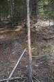 Clark Fork River Sporting Ranch - Photo 33