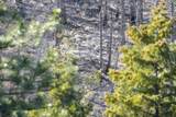 Clark Fork River Sporting Ranch - Photo 34
