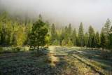 Clark Fork River Sporting Ranch - Photo 38
