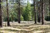 Clark Fork River Sporting Ranch - Photo 39