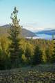 Clark Fork River Sporting Ranch - Photo 6