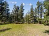 1418 Bugling Elk Road - Photo 10