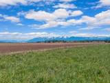 1128 Tree Farm Road - Photo 11
