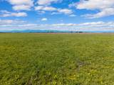 1128 Tree Farm Road - Photo 6