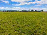 1128 Tree Farm Road - Photo 8