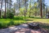 41255 Pine Tree Lane - Photo 53
