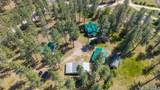 41255 Pine Tree Lane - Photo 6