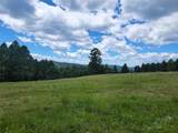 Lot 83 Hoover Creek Road - Photo 2