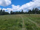 Lot 83 Hoover Creek Road - Photo 3