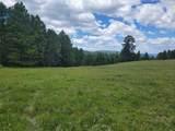 Lot 83 Hoover Creek Road - Photo 4