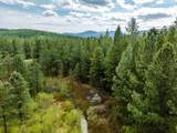 TBD Hines Road - Photo 10