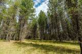 TBD Hines Road - Photo 14