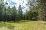 TBD Hines Road - Photo 7
