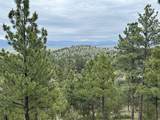 2511 Gold Rush Avenue - Photo 1