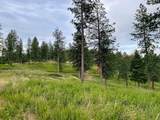 11509 Timber Ridge Lane - Photo 12