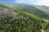 NHN Patrick Creek Road - Photo 13