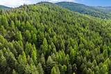 NHN Patrick Creek Road - Photo 22