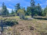 NHN Patrick Creek Road - Photo 6