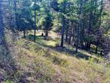 NHN Patrick Creek Road - Photo 7