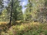 NHN Mt Hwy 200 - Photo 7