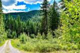 NHN St. Mary's Lake Road - Photo 9