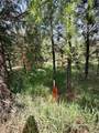 Nhn Old Cottonwood Lane - Photo 10
