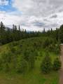 Nhn Old Cottonwood Lane - Photo 2