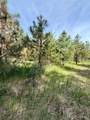 Nhn Old Cottonwood Lane - Photo 6