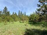 Nhn Old Cottonwood Lane - Photo 8