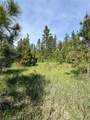 Nhn Old Cottonwood Lane - Photo 9