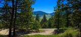28711 Early Dawn Drive - Photo 5