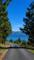 28711 Early Dawn Drive - Photo 6