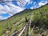 NHN Blind Creek Draw Road - Photo 10