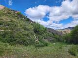 NHN Blind Creek Draw Road - Photo 11