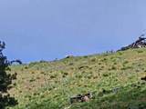 NHN Blind Creek Draw Road - Photo 13