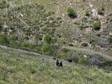 NHN Blind Creek Draw Road - Photo 15