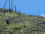 NHN Blind Creek Draw Road - Photo 18