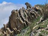 NHN Blind Creek Draw Road - Photo 19