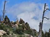 NHN Blind Creek Draw Road - Photo 20