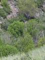 NHN Blind Creek Draw Road - Photo 21