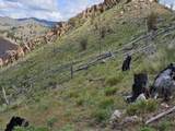 NHN Blind Creek Draw Road - Photo 4