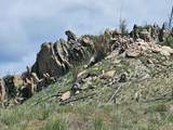NHN Blind Creek Draw Road - Photo 5