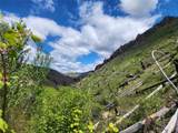 NHN Blind Creek Draw Road - Photo 9